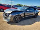2020 Ford Mustang Gray vin: 1FATP8UHXL5135748