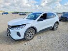 2023 Ford Escape Active Белый vin: 1FMCU0GN0PUA72799