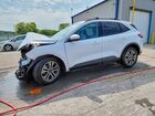 2022 Ford Escape Sel White vin: 1FMCU0H66NUA41674