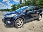2019 Ford Escape Se Black vin: 1FMCU9GD0KUB83888