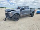 2024 Ford F250 Super Duty Gray vin: 1FT8W2BM2REE79681
