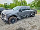 2024 Ford F250 Super Duty Gray vin: 1FT8W2BT3REE68941