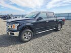 1FTEW1EP1JKC50207