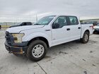 1FTEW1EP5GKF55959