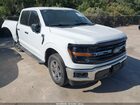 2024 Ford F-150 Xlt White vin: 1FTEW3K55RKE39159