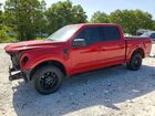 2024 Ford F150 Xlt Red vin: 1FTEW3KP3RKD68545