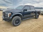 2024 Ford F150 Raptor Black vin: 1FTFW1RG8RFA07884