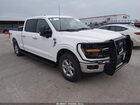 2024 Ford F-150 Xlt Белый vin: 1FTFW3L53RKD70135