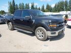 2025 Ford F-150 Xlt Black vin: 1FTFW3L83SKD85363