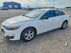 2023 Chevrolet Malibu Ls White vin: 1G1ZC5ST7PF156586