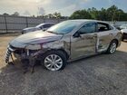 2024 Chevrolet Malibu Lt Gray vin: 1G1ZD5ST6RF168289