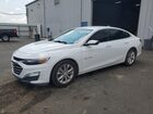 2020 Chevrolet Malibu Lt White vin: 1G1ZD5ST7LF043454