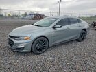 2024 Chevrolet Malibu Premier Gray vin: 1G1ZE5ST8RF191800