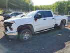 2023 Chevrolet Silverado K2500 Heavy Duty Белый vin: 1GC1YLE74PF236436