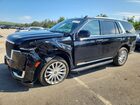 2023 Cadillac Escalade Premium Luxury Black vin: 1GYS4BKLXPR368119