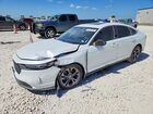 2024 Honda Accord Ex White vin: 1HGCY1F37RA023636