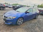 2016 Nissan Maxima Platinum Синий vin: 1N4AA6AP2GC391859