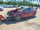 2018 Nissan Maxima Platinum Бордовый vin: 1N4AA6AP2JC402804