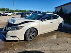 2016 Nissan Maxima 3.5 Sl White vin: 1N4AA6AP9GC414747