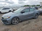 2019 Nissan Maxima 3.5 S Gray vin: 1N4AA6AV8KC381893