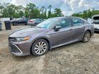 2023 Toyota Camry Le Gray vin: 4T1C11BKXPU094255
