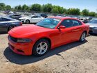 2020 Dodge Charger Sxt Красный vin: 2C3CDXBG9LH140492