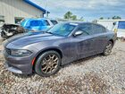 2017 Dodge Charger Sxt Gray vin: 2C3CDXJG1HH614301