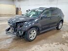 2017 Chevrolet Equinox Lt Black vin: 2GNALCEKXH1511262