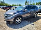 2017 Honda Cr-v Exl Gray vin: 2HKRW2H86HH140791