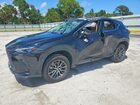2025 Lexus Nx 250 Premium Black vin: 2T2GDCAZ2SC022880