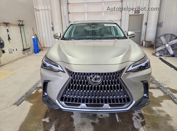 2026 LEXUS NX 350H PREMIUM