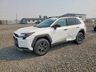 2026 Toyota Rav4 Woodland White vin: 2T36CRAV1TW062314