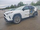 2019 Toyota Rav4 Xle Premium Белый vin: 2T3A1RFV5KC038915