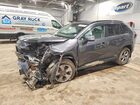 2024 Toyota Rav4 Le Gray vin: 2T3BWRFV3RW205559