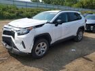 2019 Toyota Rav4 Le White vin: 2T3F1RFV4KW066662