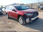 2020 Toyota Rav4 Le Red vin: 2T3K1RFV6LC059505