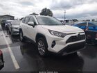2019 Toyota Rav4 Limited White vin: 2T3N1RFV1KW075282