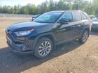 2019 Toyota Rav4 Xle Black vin: 2T3R1RFV2KW026335