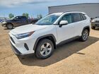 2024 Toyota Rav4 Xle White vin: 2T3R1RFV5RC429494