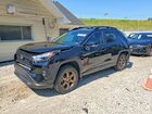 2023 Toyota Rav4 Woodland Edition Черный vin: 2T3UWRFV3PW169572
