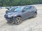 2016 Toyota Rav4 Xle Gray vin: 2T3WFREV1GW280213
