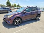 2016 Toyota Rav4 Xle Purple vin: 2T3WFREV8GW264171