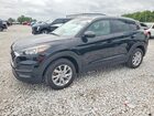 2019 Hyundai Tucson Value Black vin: KM8J3CA40KU866769