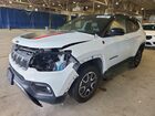 2025 Jeep Compass Trailhawk White vin: 3C4NJDDN9ST564123