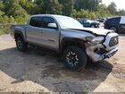 2019 Toyota Tacoma Trd Off Road Silver vin: 3TMCZ5AN5KM216808