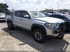 2019 Toyota Tacoma Trd Off Road Silver vin: 3TMCZ5AN6KM203629