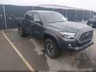 2019 Toyota Tacoma Trd Off Road Gray vin: 3TMCZ5AN6KM269677