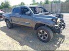 2019 Toyota Tacoma Trd Sport Gray vin: 3TMCZ5AN9KM217251