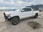 2019 Toyota Tacoma Trd Sport White vin: 3TMDZ5BN4KM064880