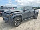 2024 Toyota Tacoma Trd Sport Gray vin: 3TMKB5FN8RM010272